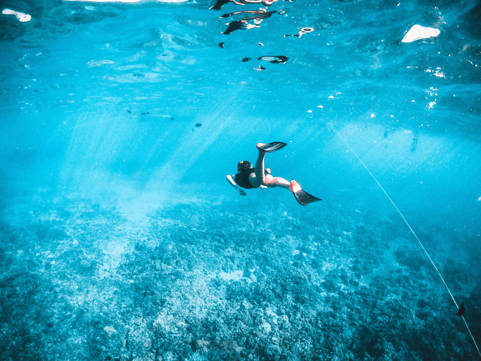 Snorkeling In Hawaii Background