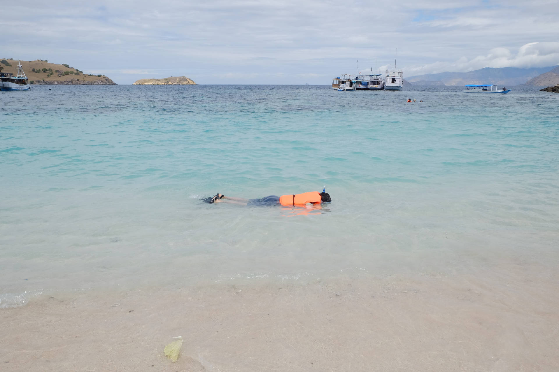 Snorkeling Near The Shore Background