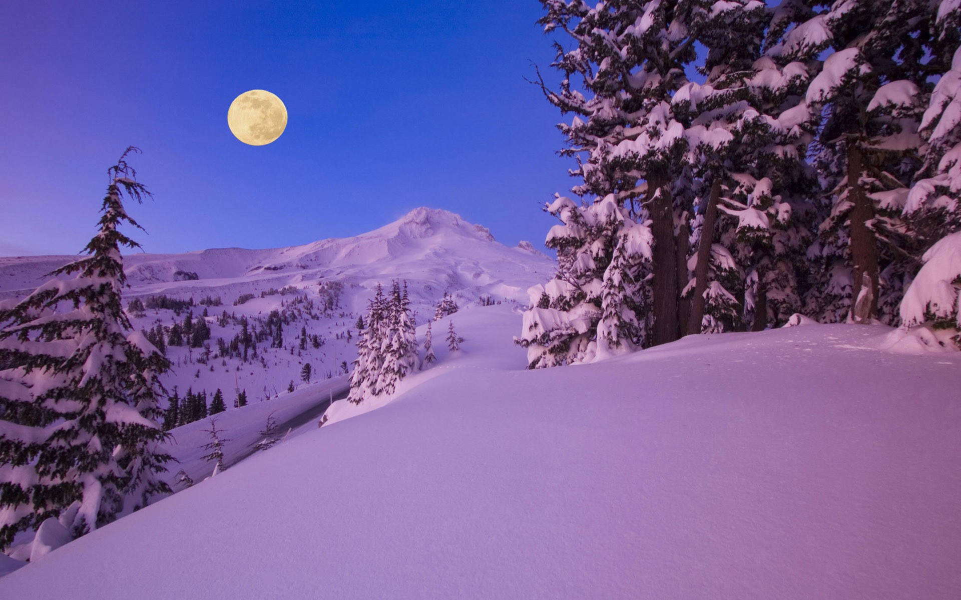 Snow Aesthetic Full Moon Background