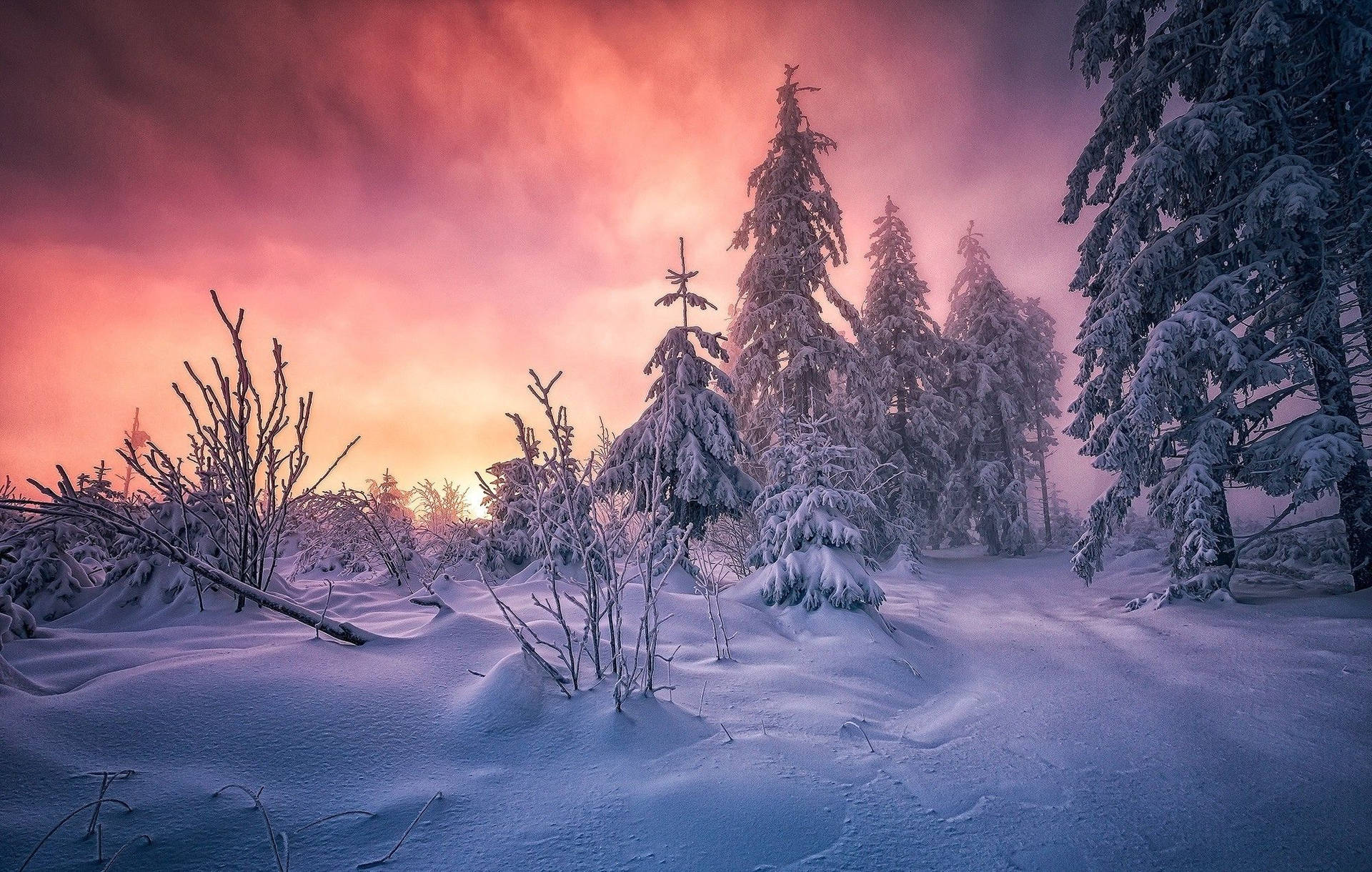 Snow Aesthetic Orange Sky