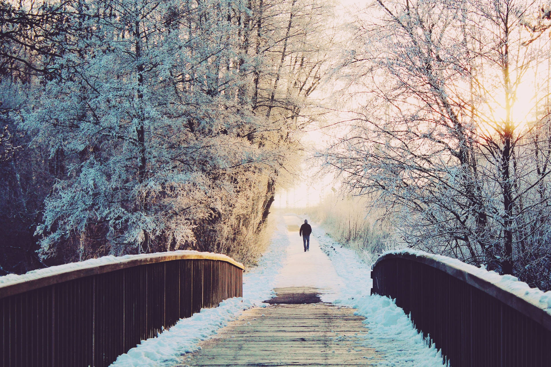 Snow Aesthetic Pathway Background