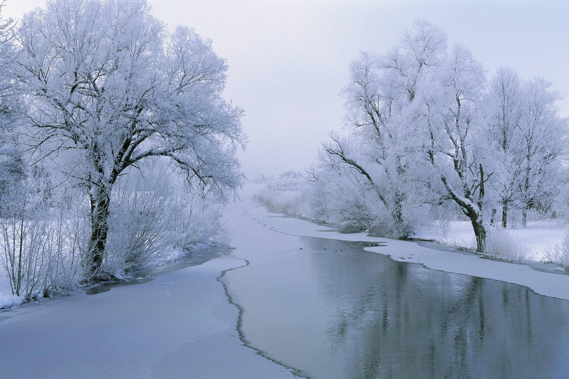 Snow Aesthetic Pavement Background