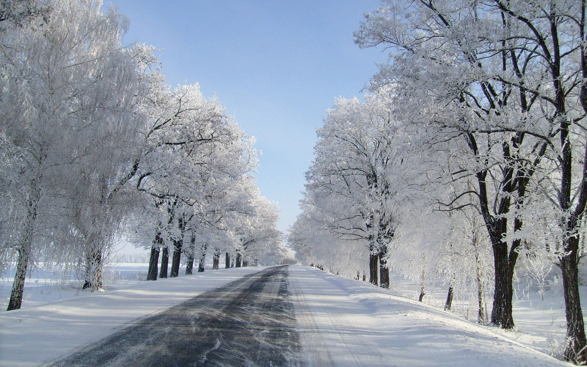 Snow Aesthetic Road Background