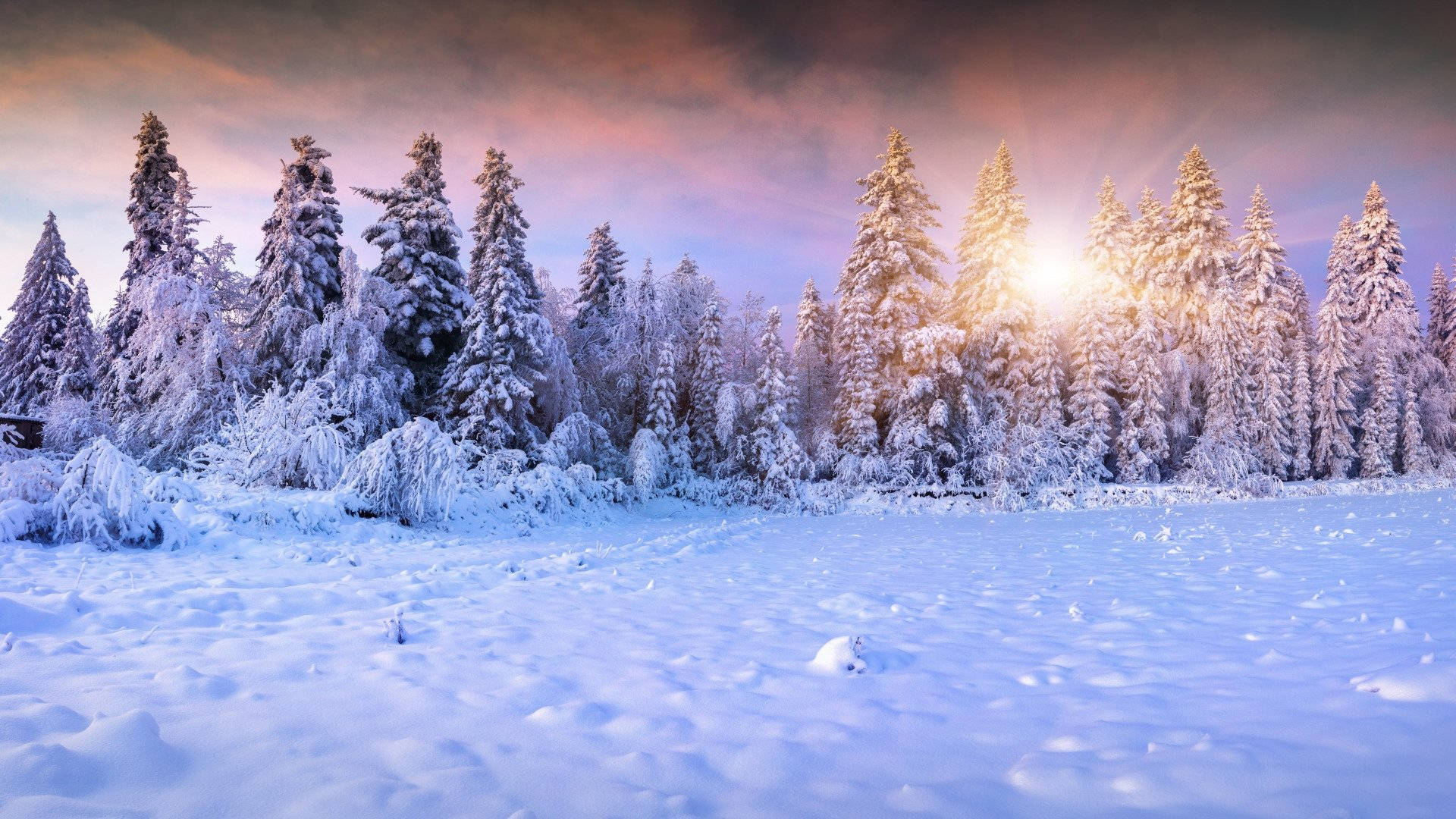 Snow Aesthetic Sunshine Background