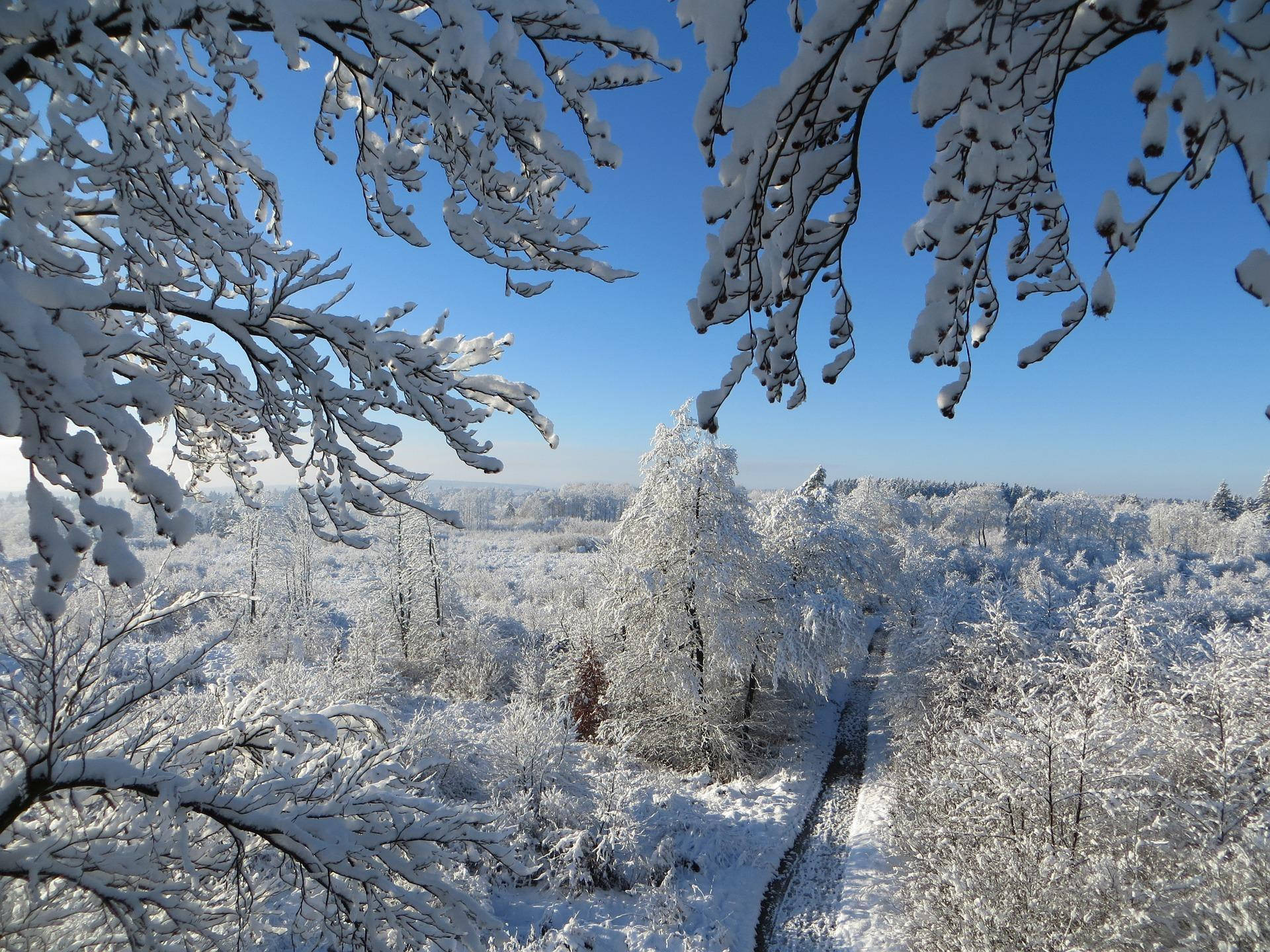 Snow Aesthetic View Background