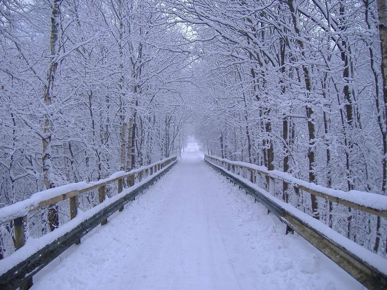 Snow Bridge Winter Scenery Background