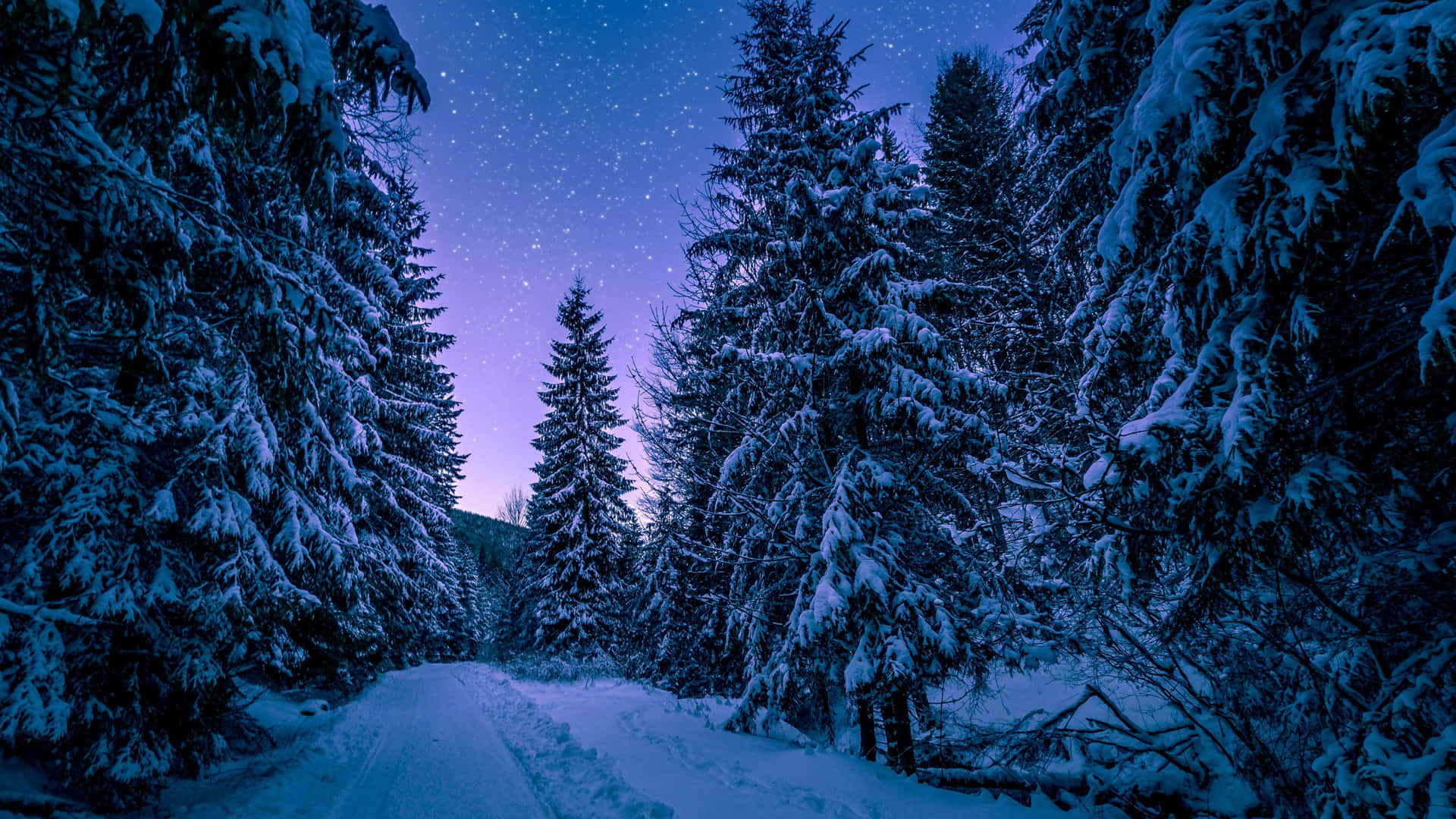 Snow-covered Laptop In Winter Scene Background