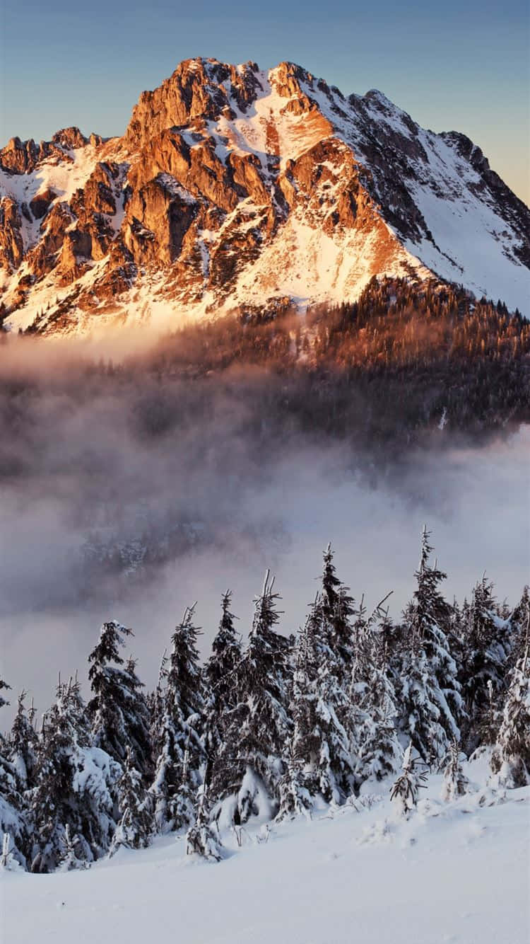 Snow Covered Mount Kilimanjaro Background