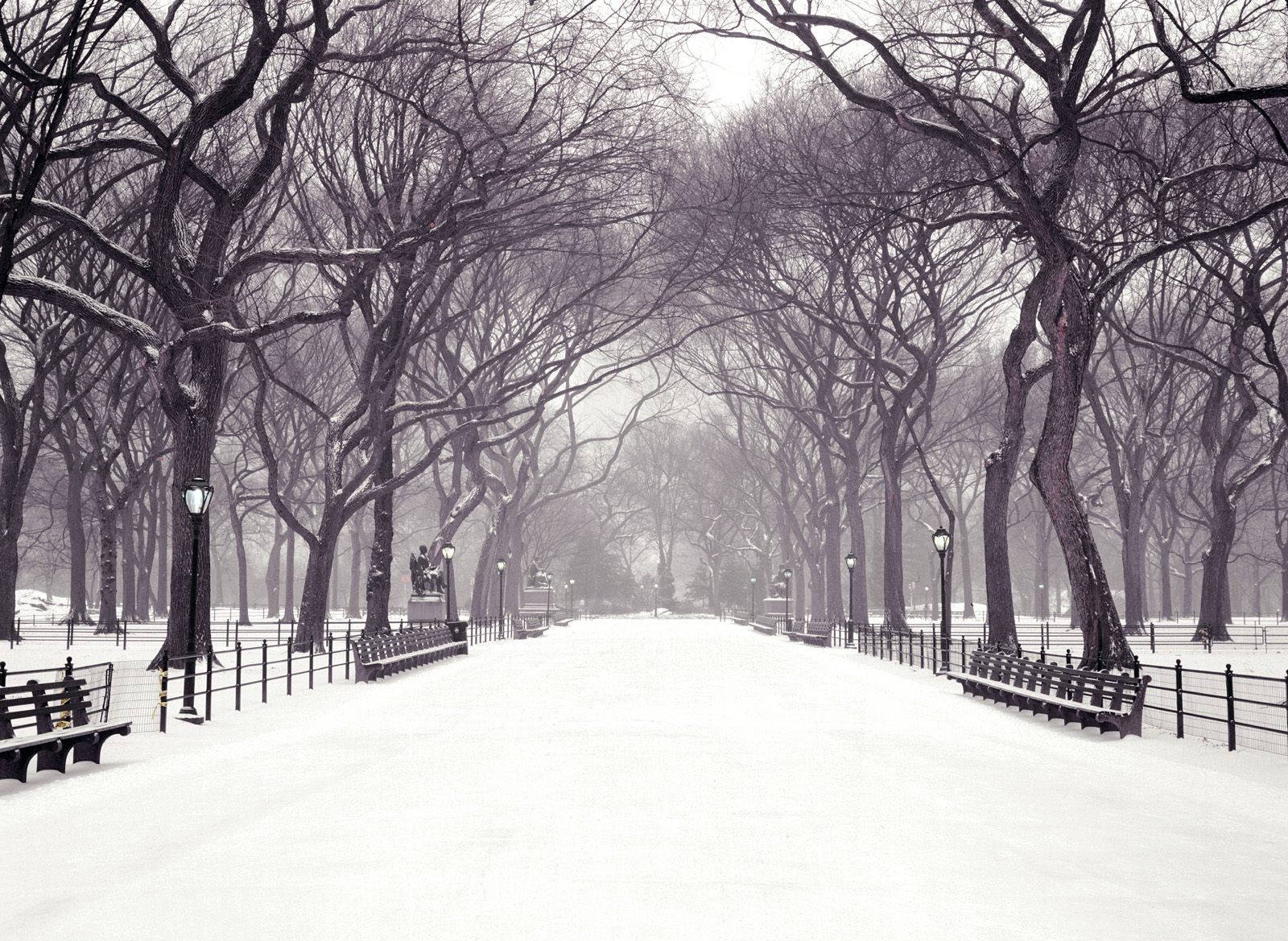 Snow-covered Park Road Background