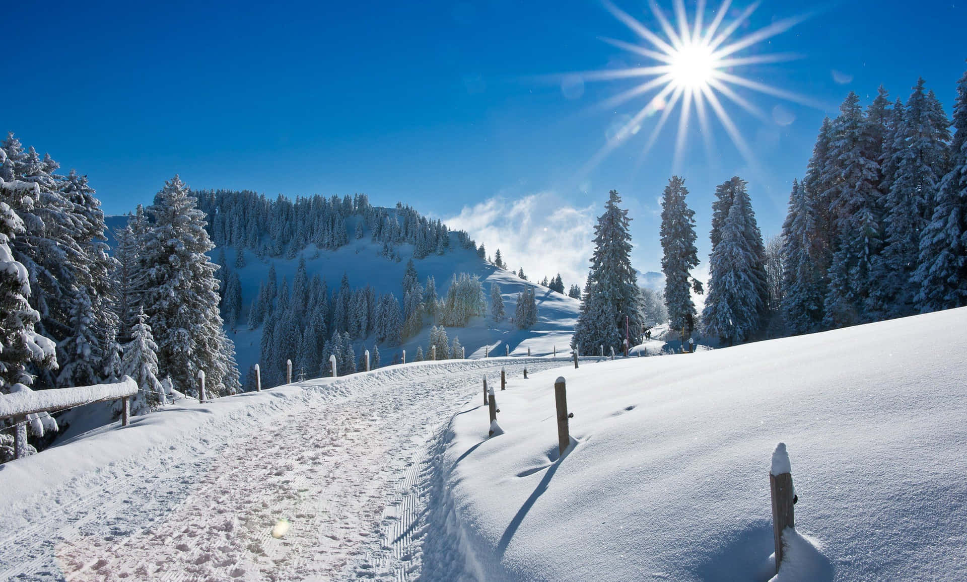 Snow-covered Path Winter Scenery Desktop Background