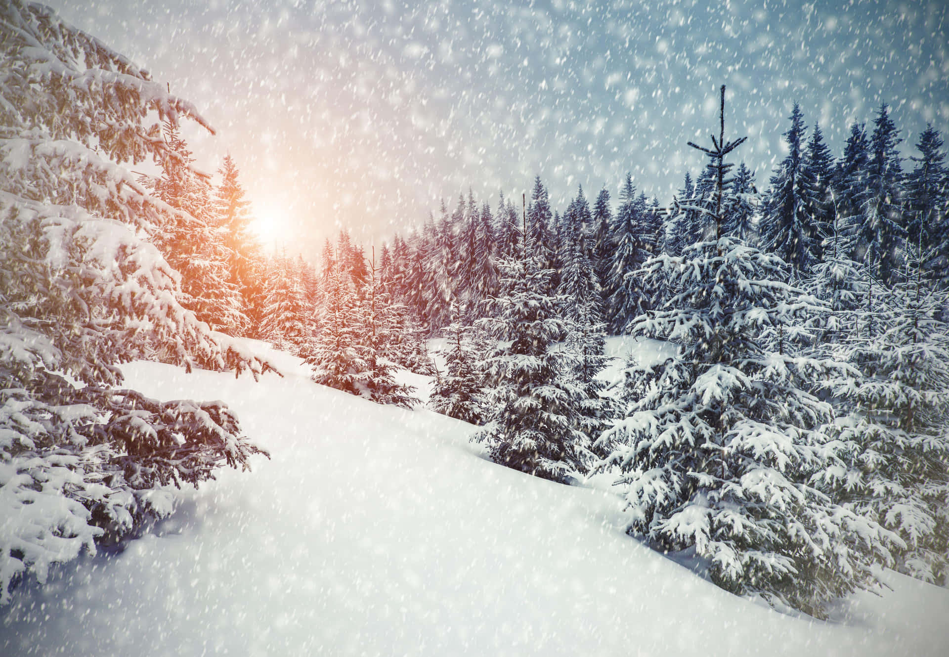 Snow-covered Streets Of A Winter Wonderland Background