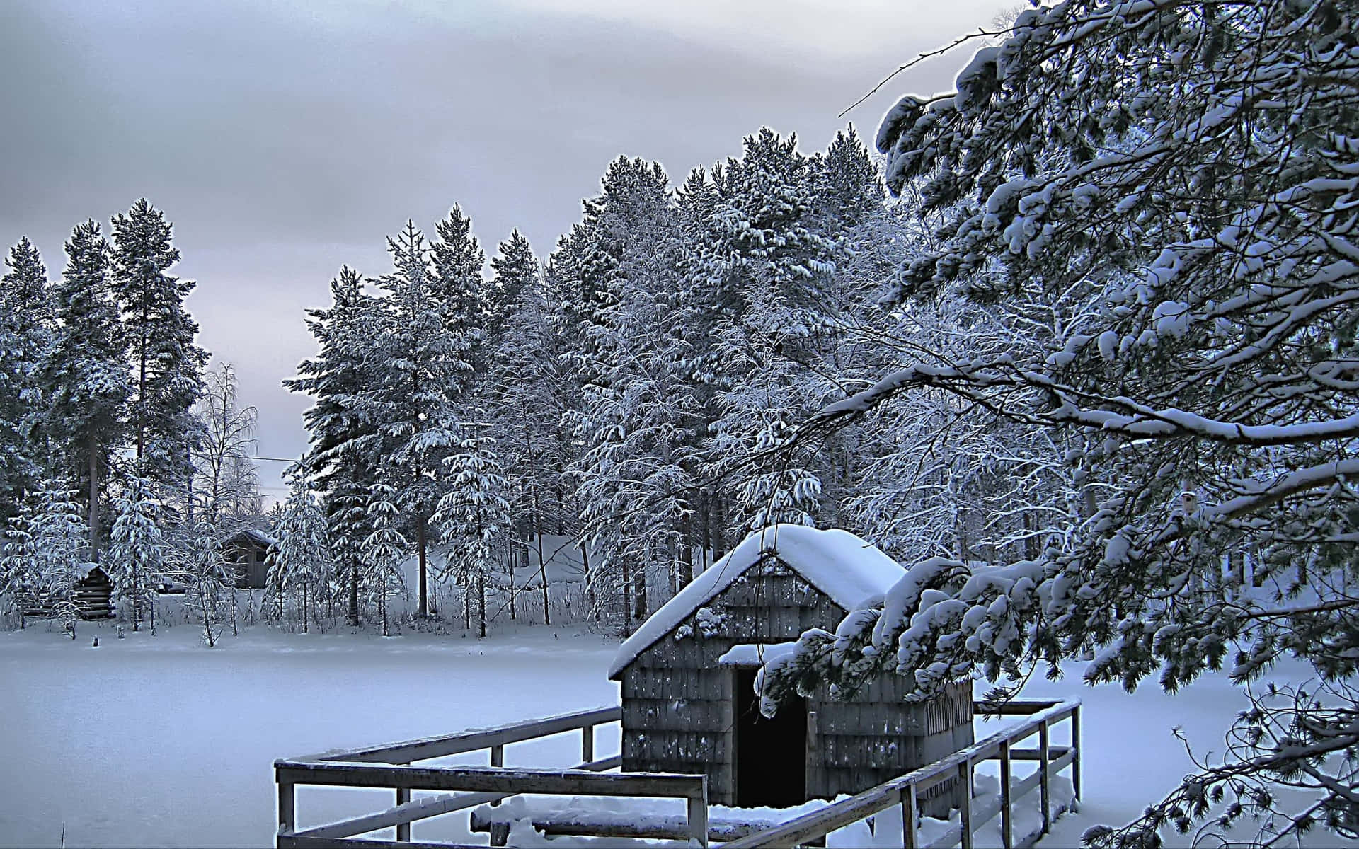 Snow-covered Winter Landscape Background