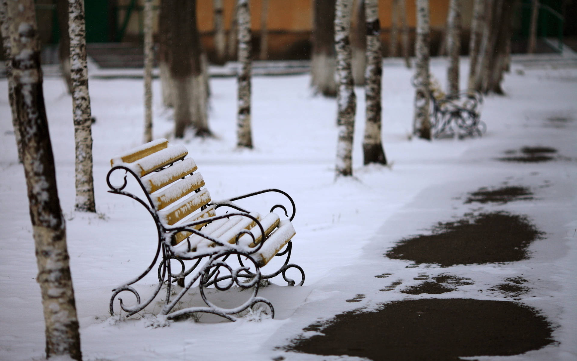 Snow Covering Bench