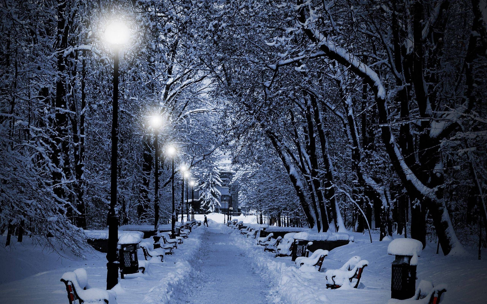 Snow Desktop Path In A Park Background