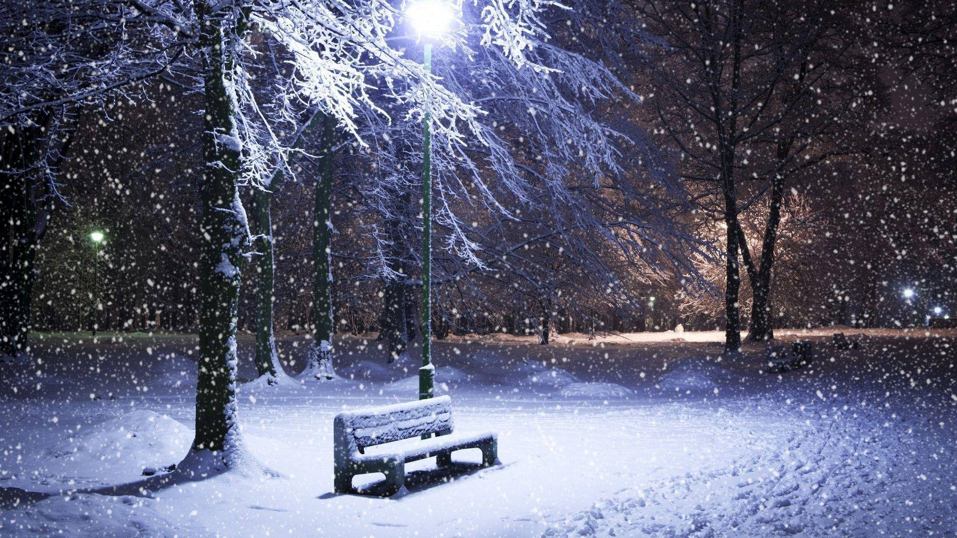 Snow Desktop Winter Night In A Park Background