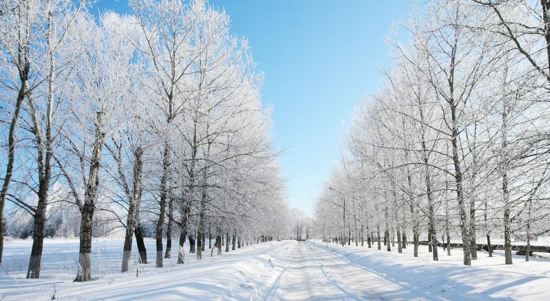 Snow Desktop Winter Under The Blue Skies Background