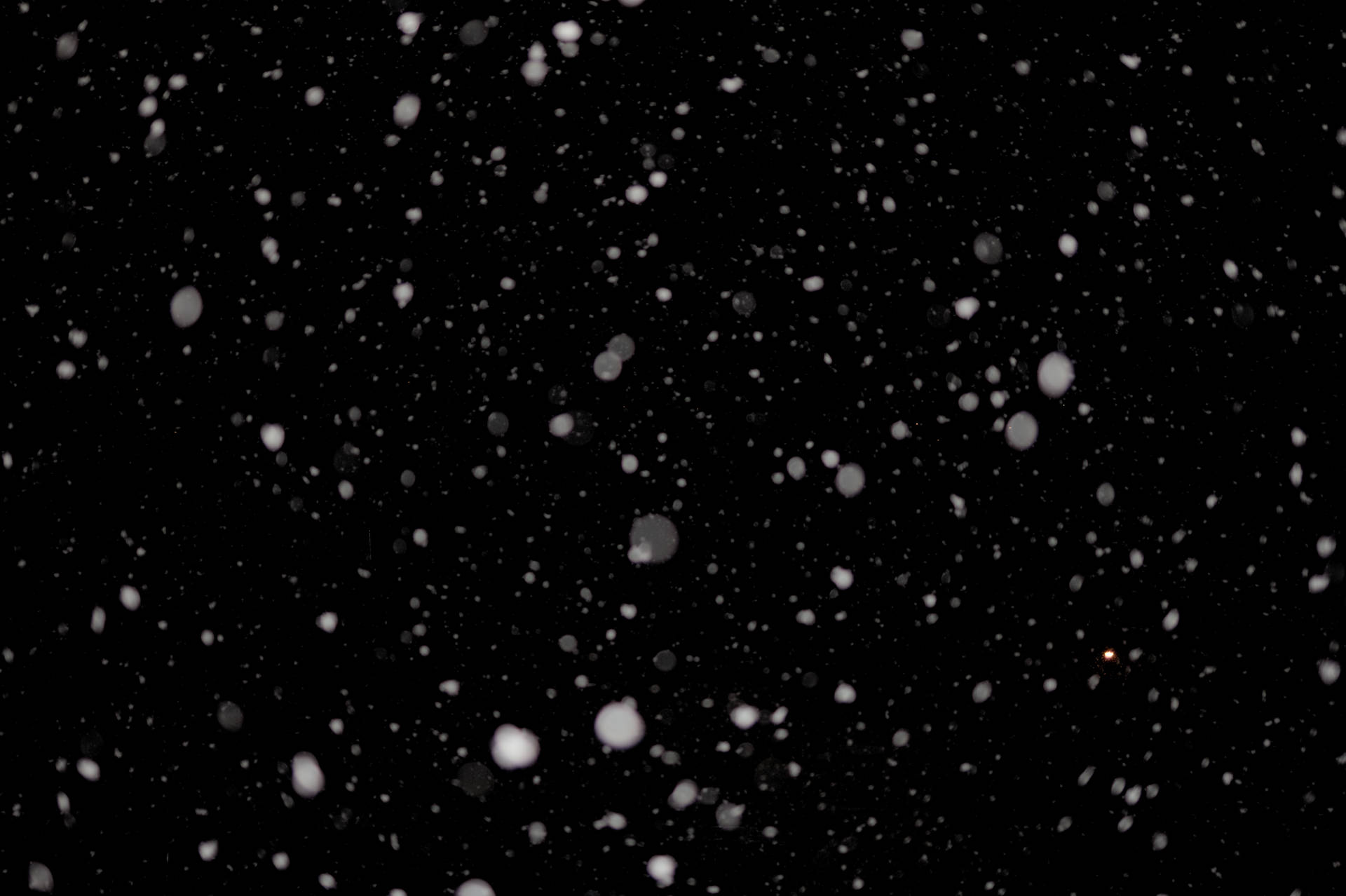 Snow Falling On A Black Background Background