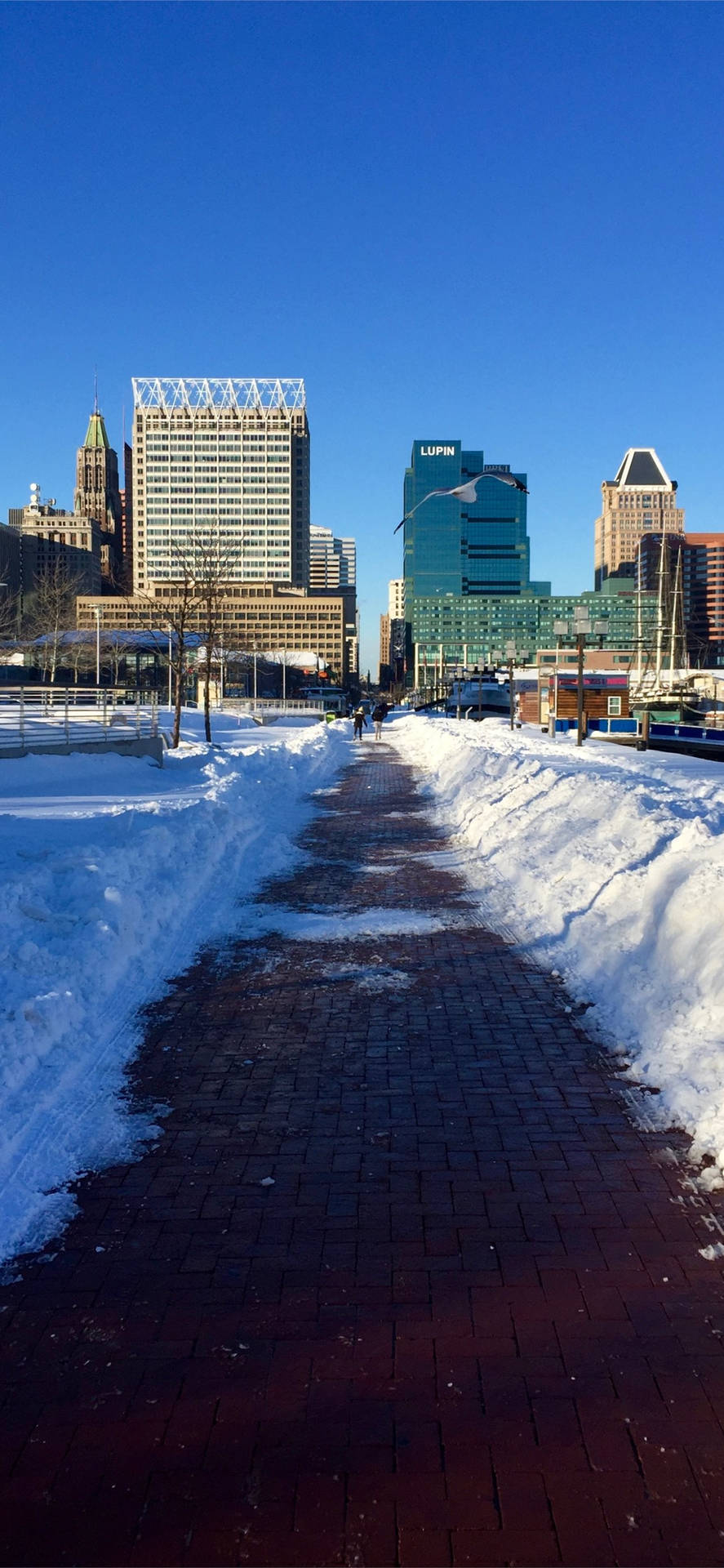 Snow In Baltimore Road Background