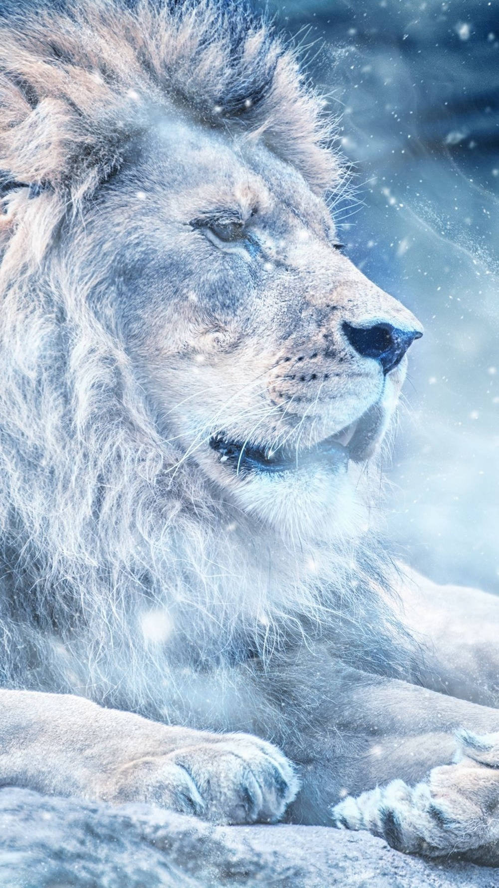 Snow Land Lion Iphone