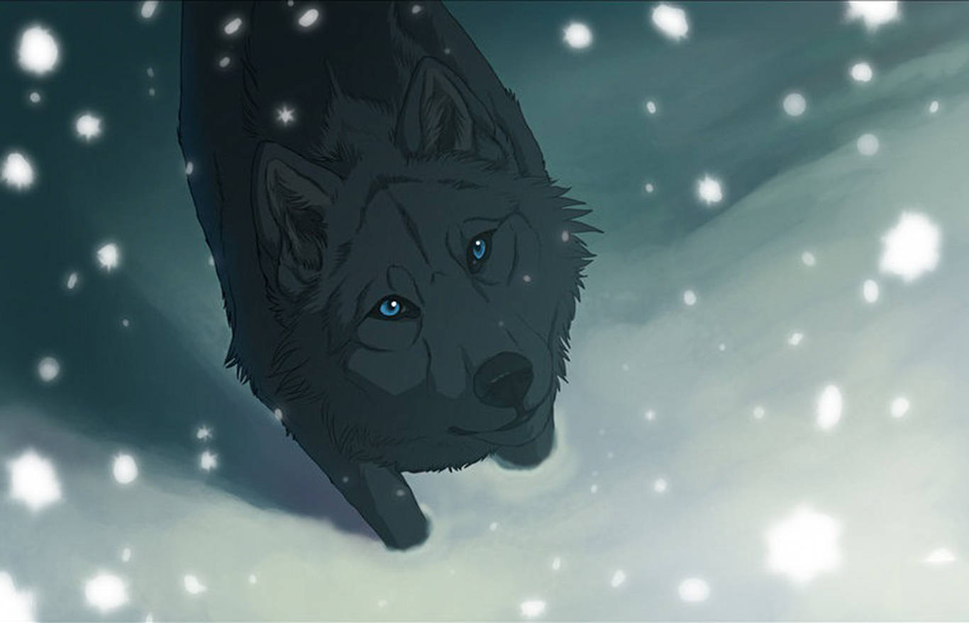 Snow Lover Black Wolf Background