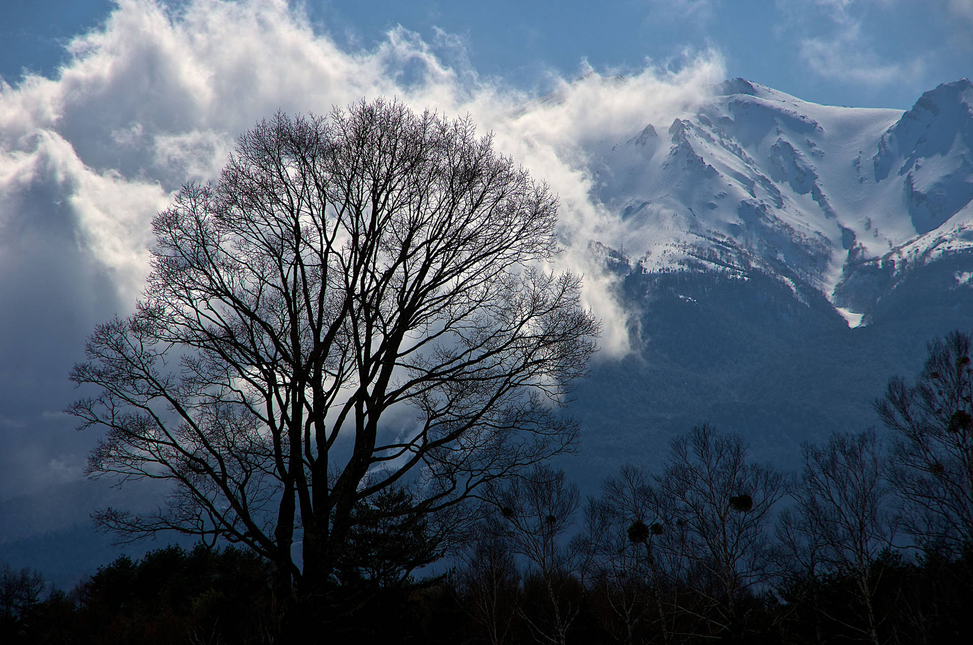 Snow Mountain Winter Terrain