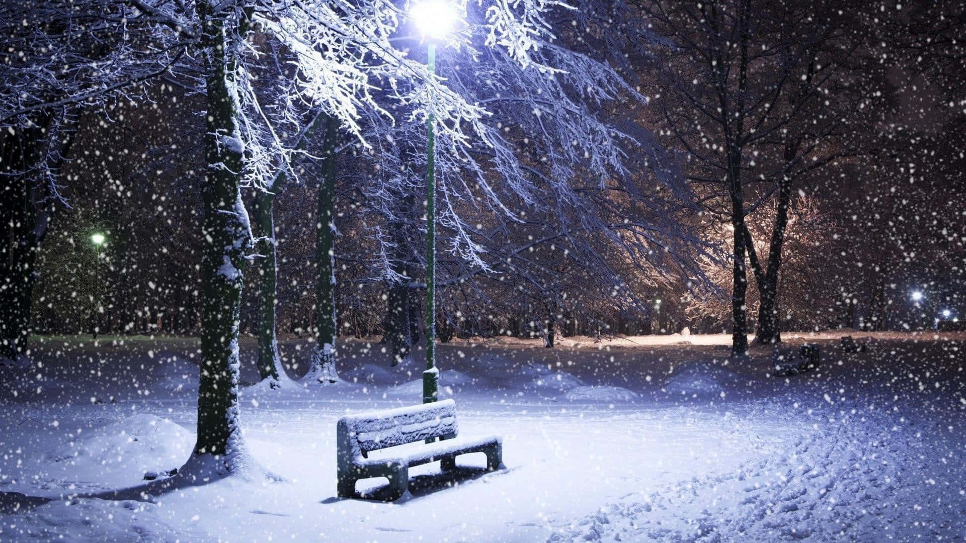 Snowfall Bench Night Desktop Background