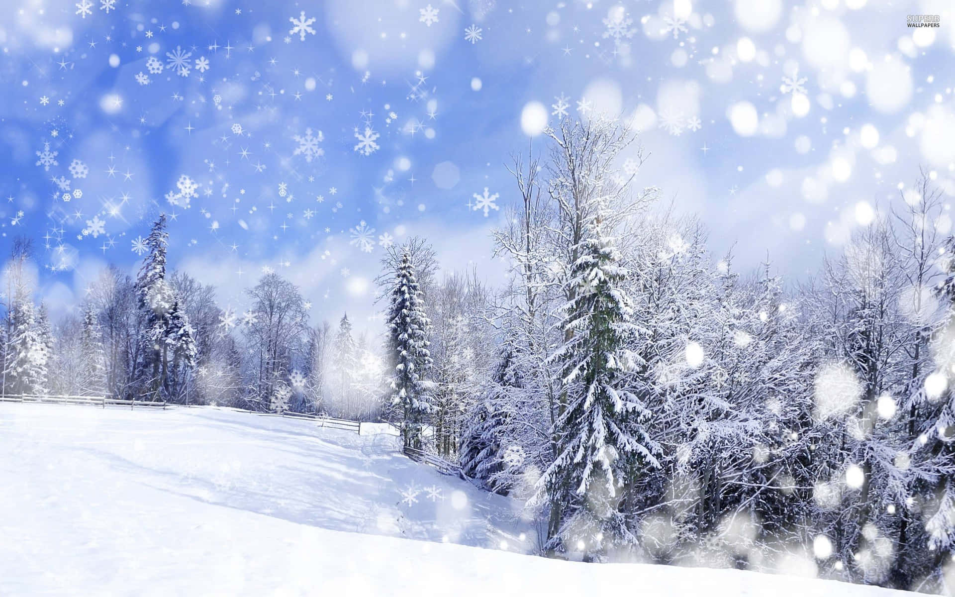 Snowfall Blankets The Landscape In A Inviting Winter Wonderland Background