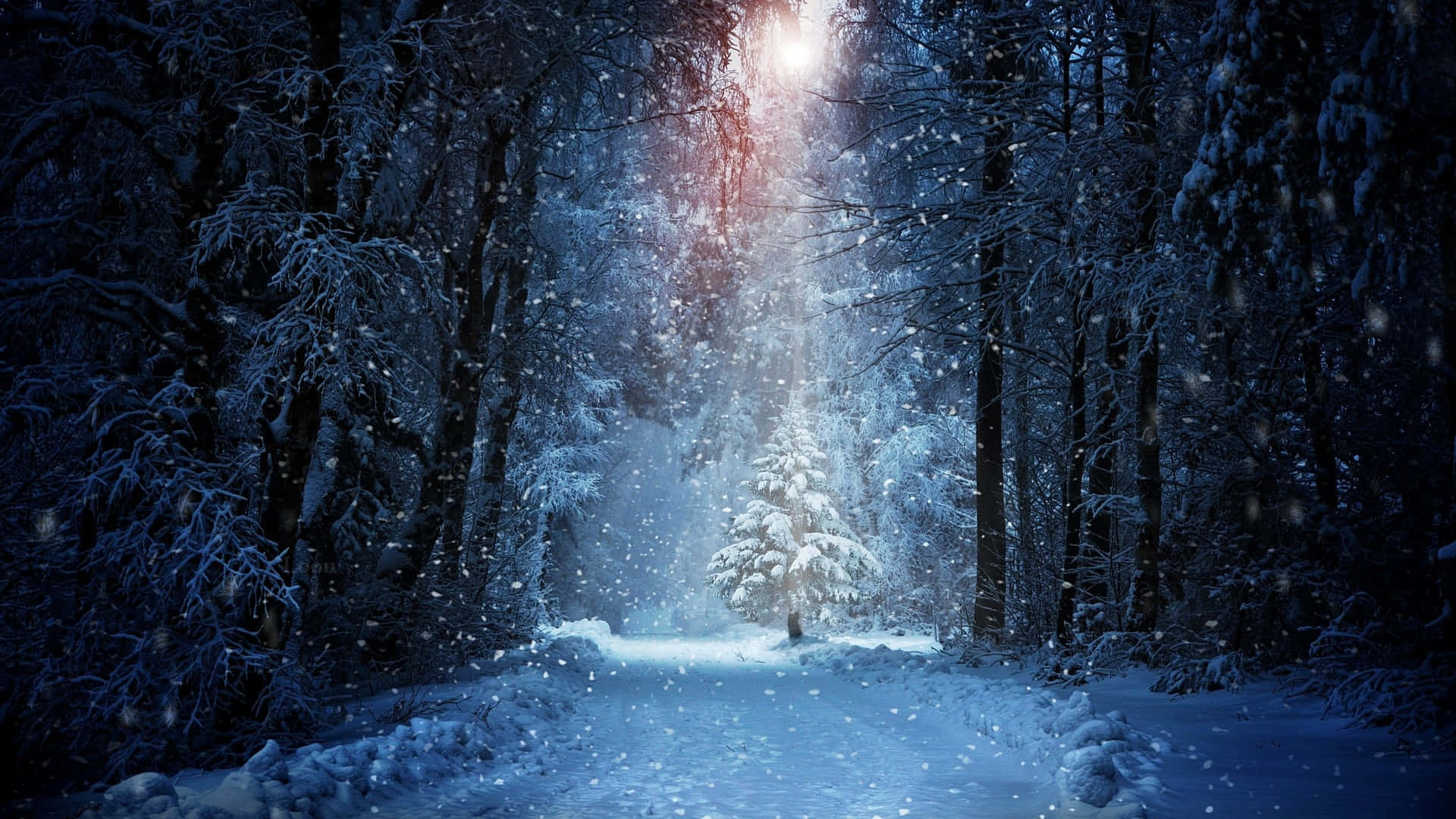 Snowfall Road Forest Background