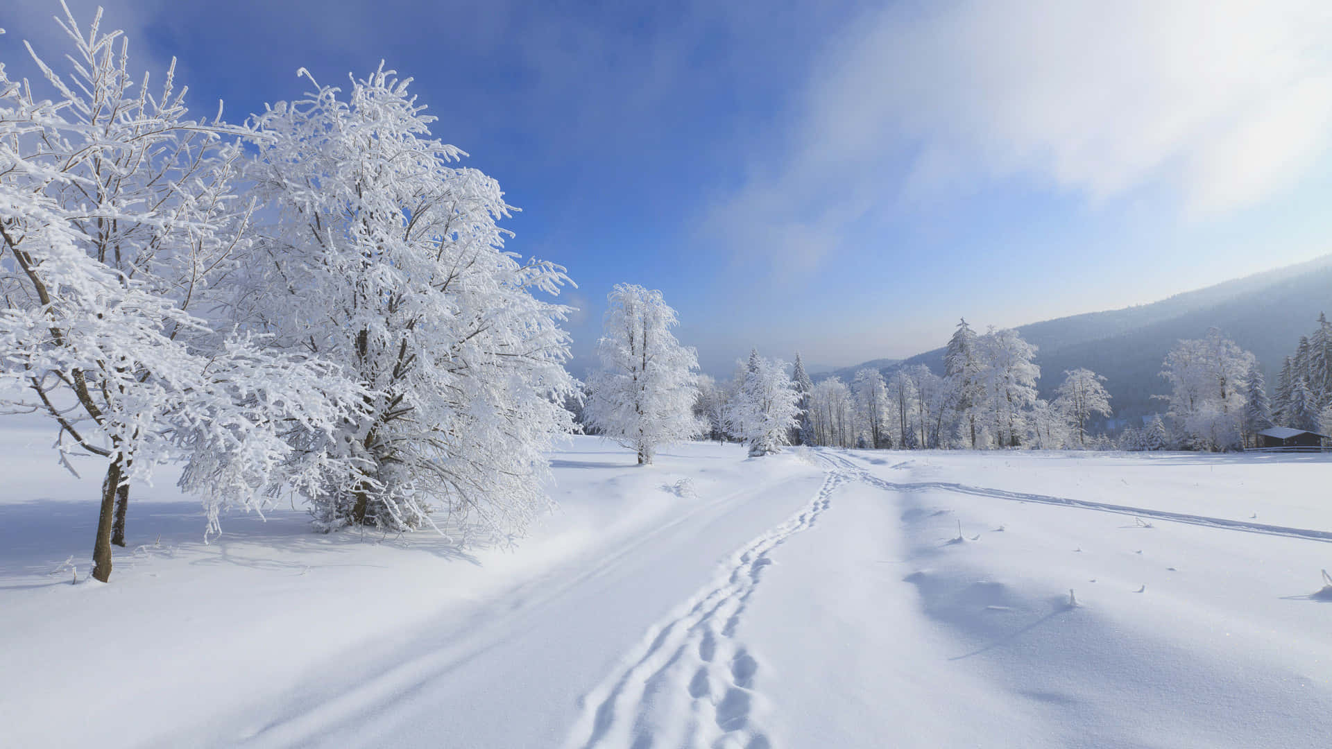 Snowfall White Ice Land Background