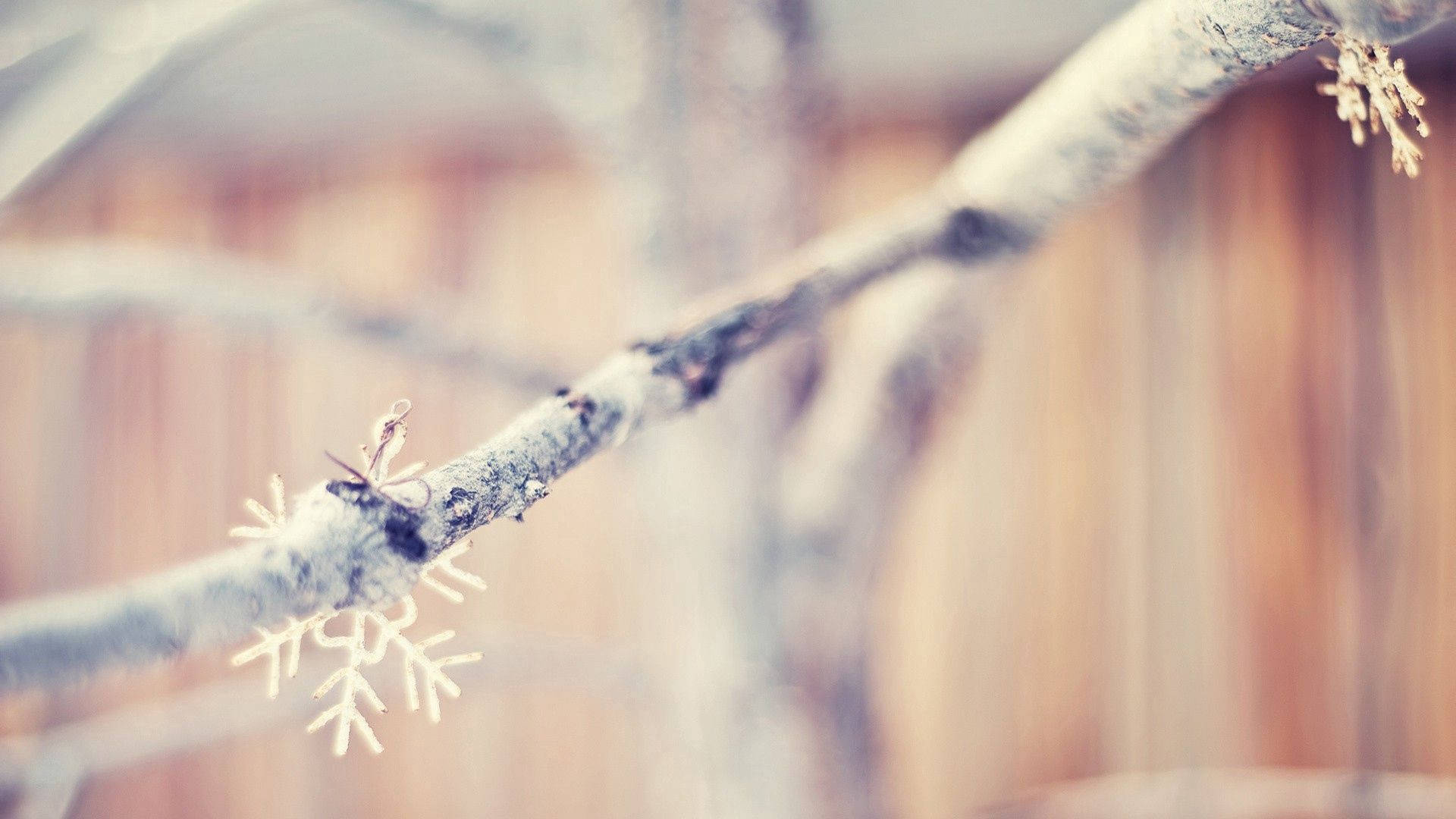 Snowflakes At Tree Branch Background