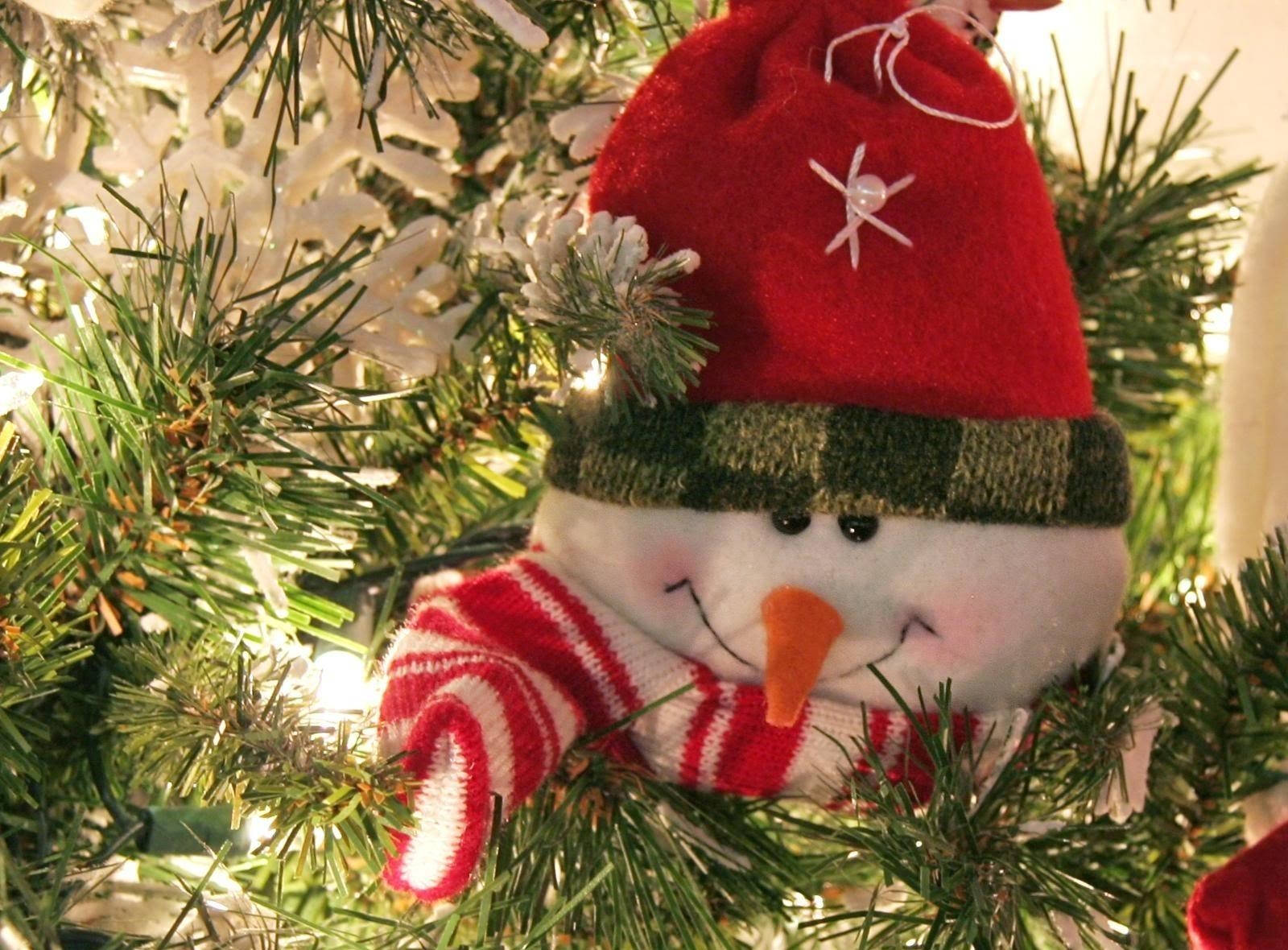 Snowman And The Tree Background