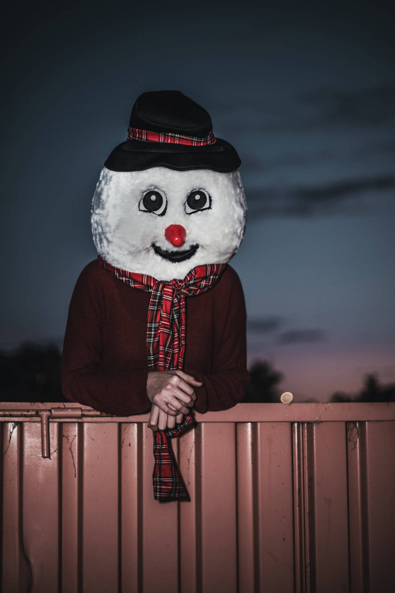 Snowman Funny Christmas