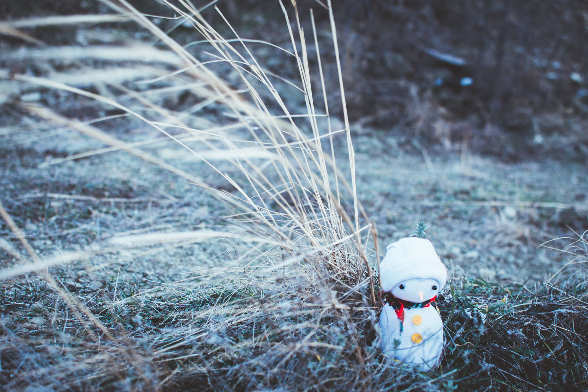 Snowman In The Forest Background