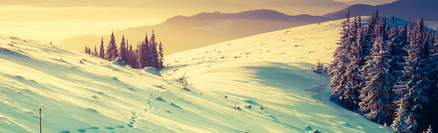 Snowscape Linkedin Banner Background