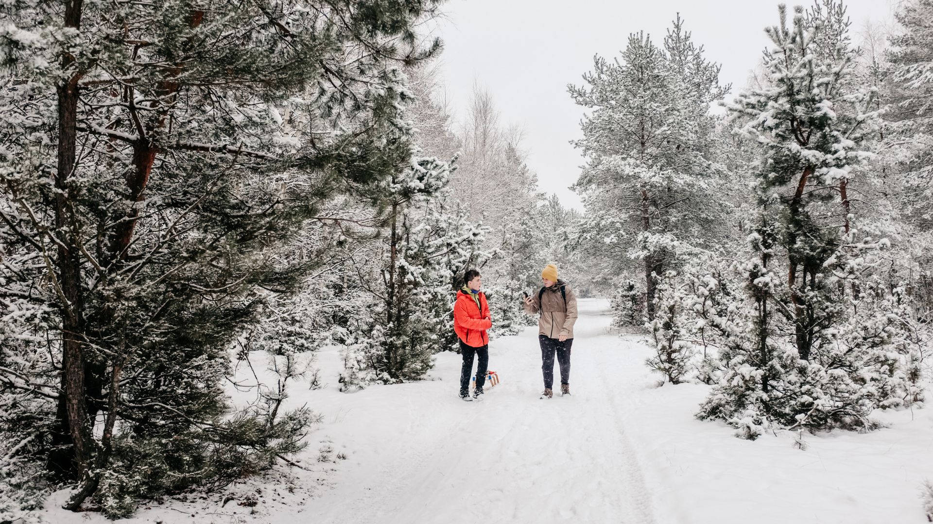 Snowshoeing Couple In Mountain