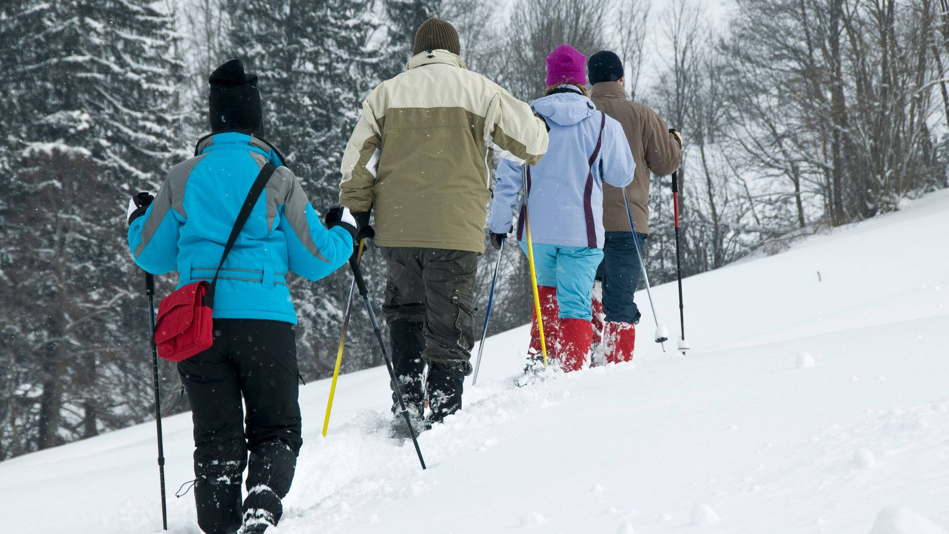 Snowshoeing Group Of Friends Background