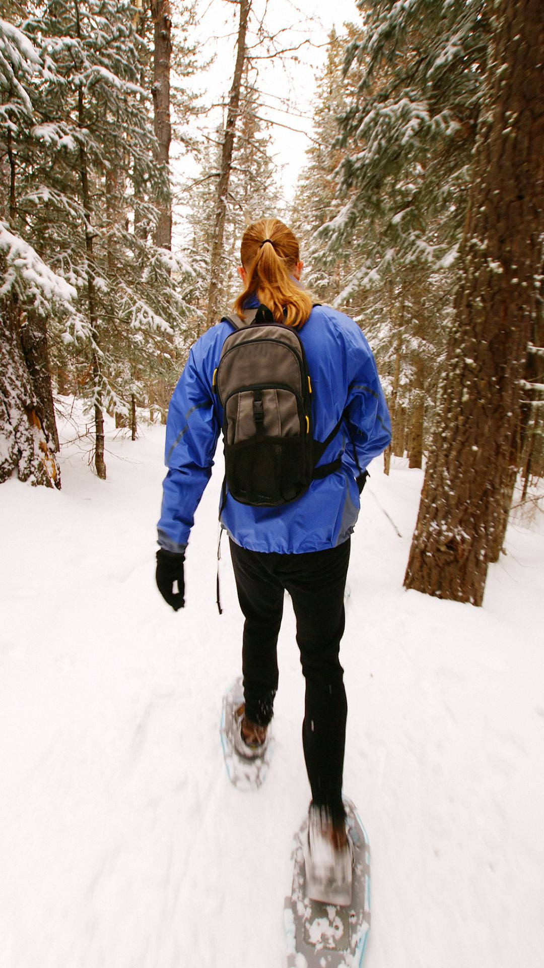 Snowshoeing In The Snow Mountain Background