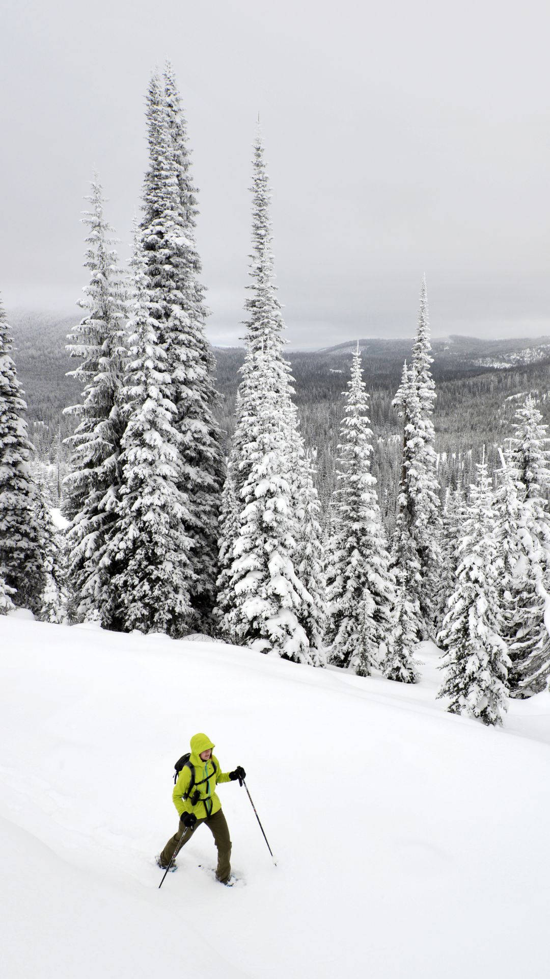 Snowshoeing Snow Mountain