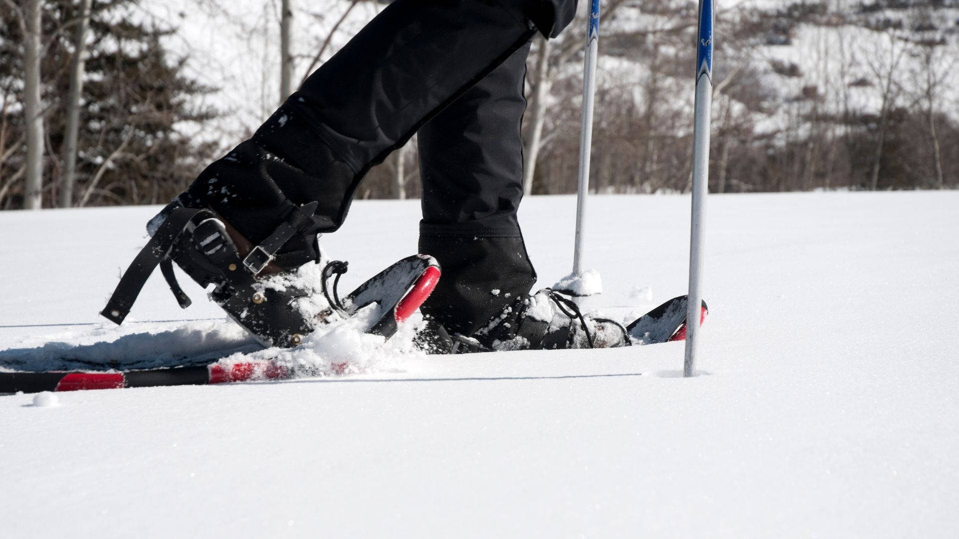 Snowshoeing Snow Shoe Background