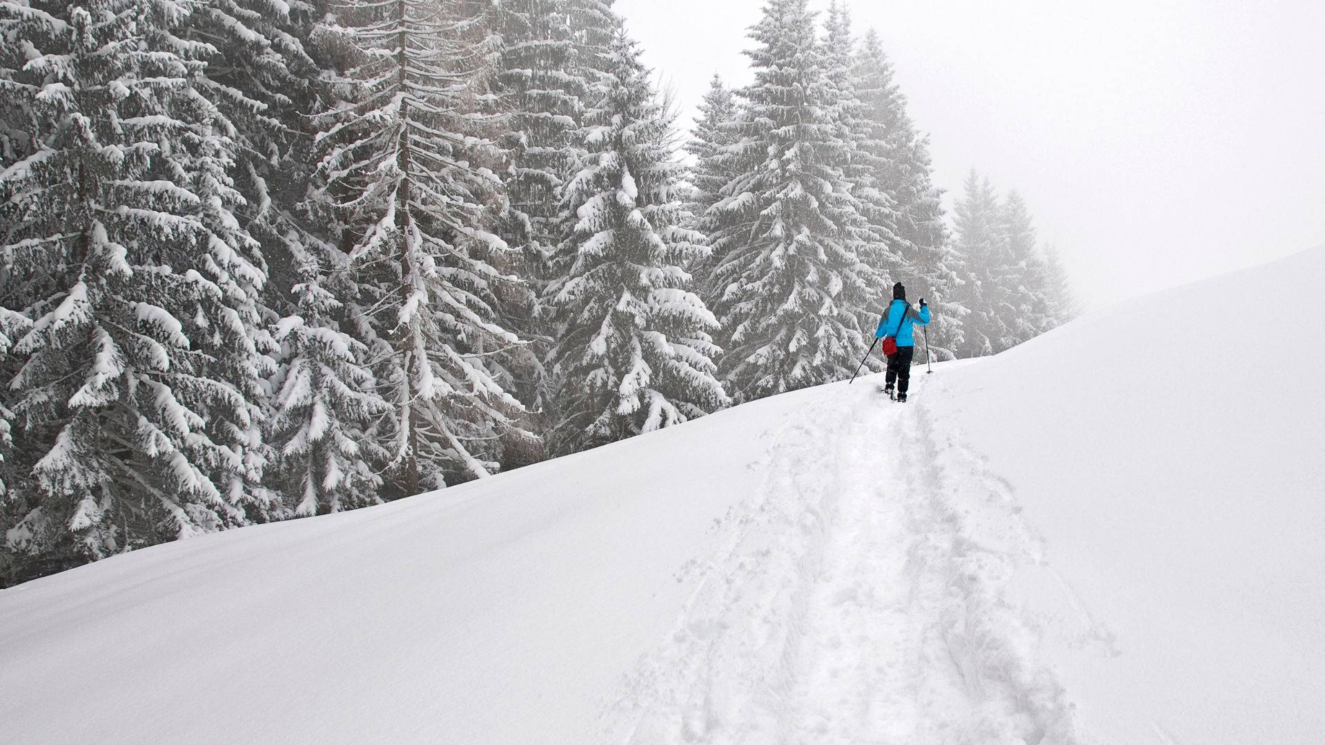 Snowshoeing Trace Snow Mountain Background