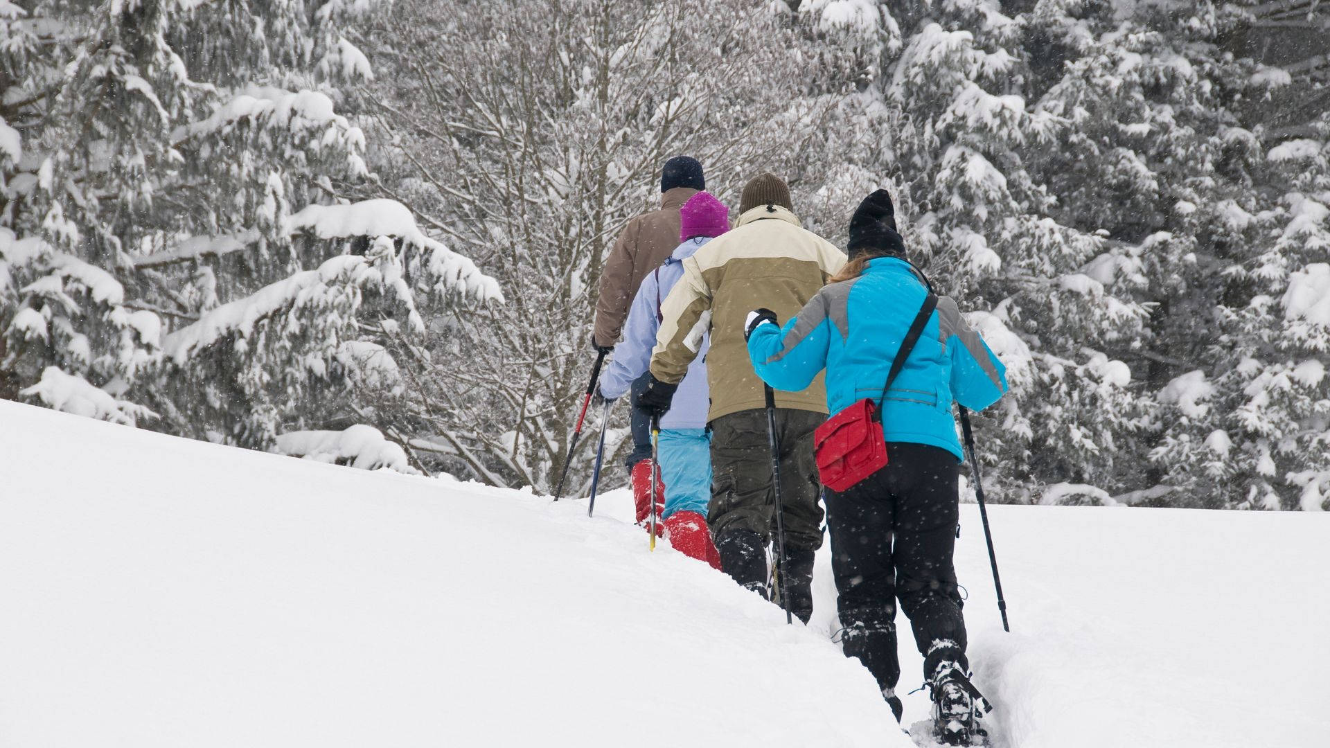 Snowshoeing With Friends Background