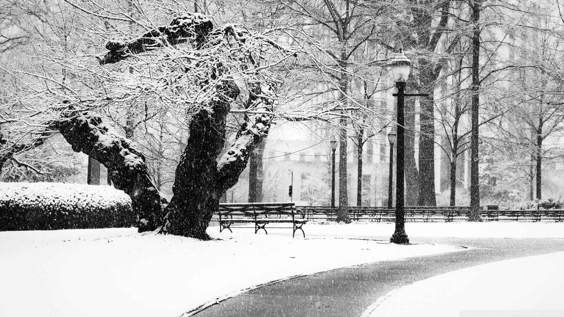 Snowstorm In Birmingham Park Background