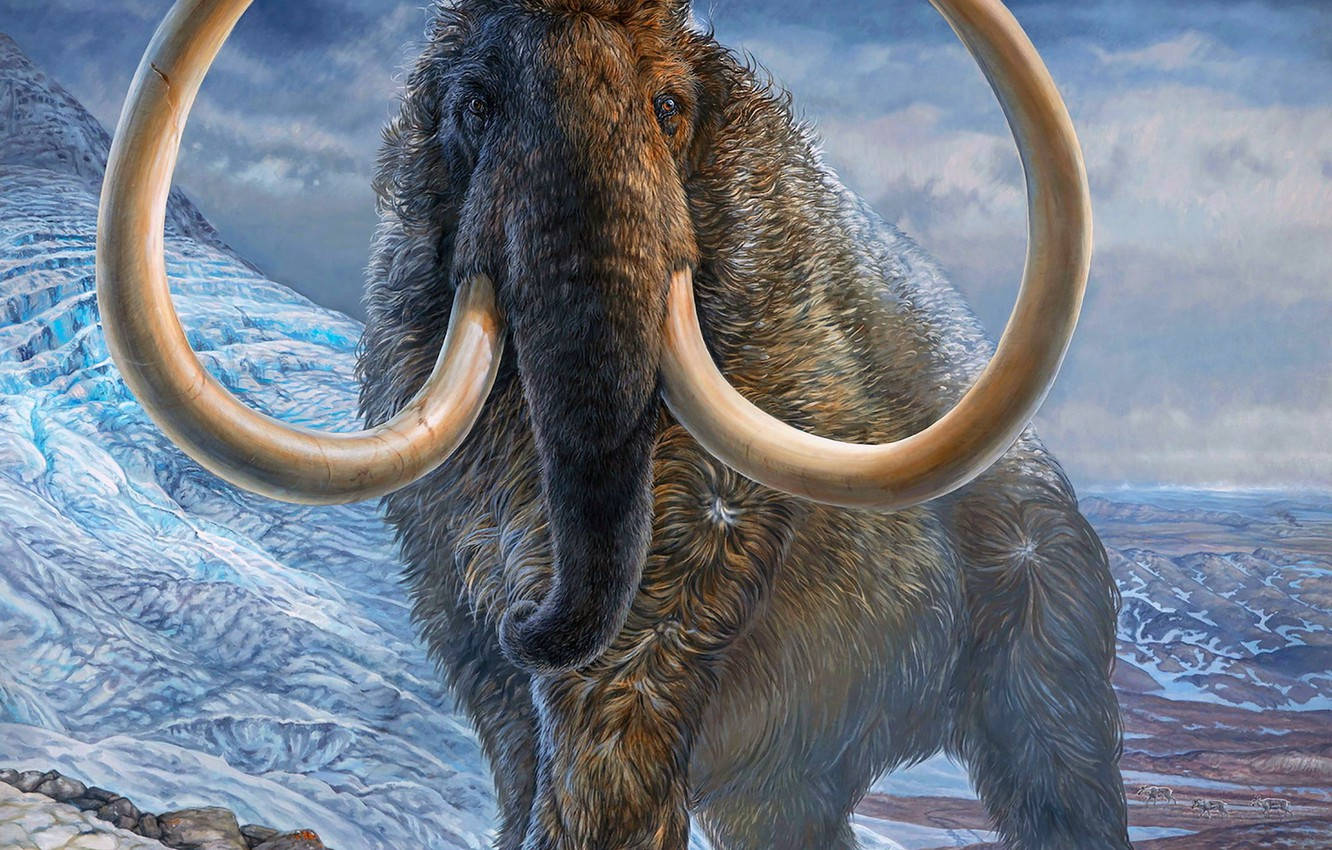 Snowy Buff Mammoth Background