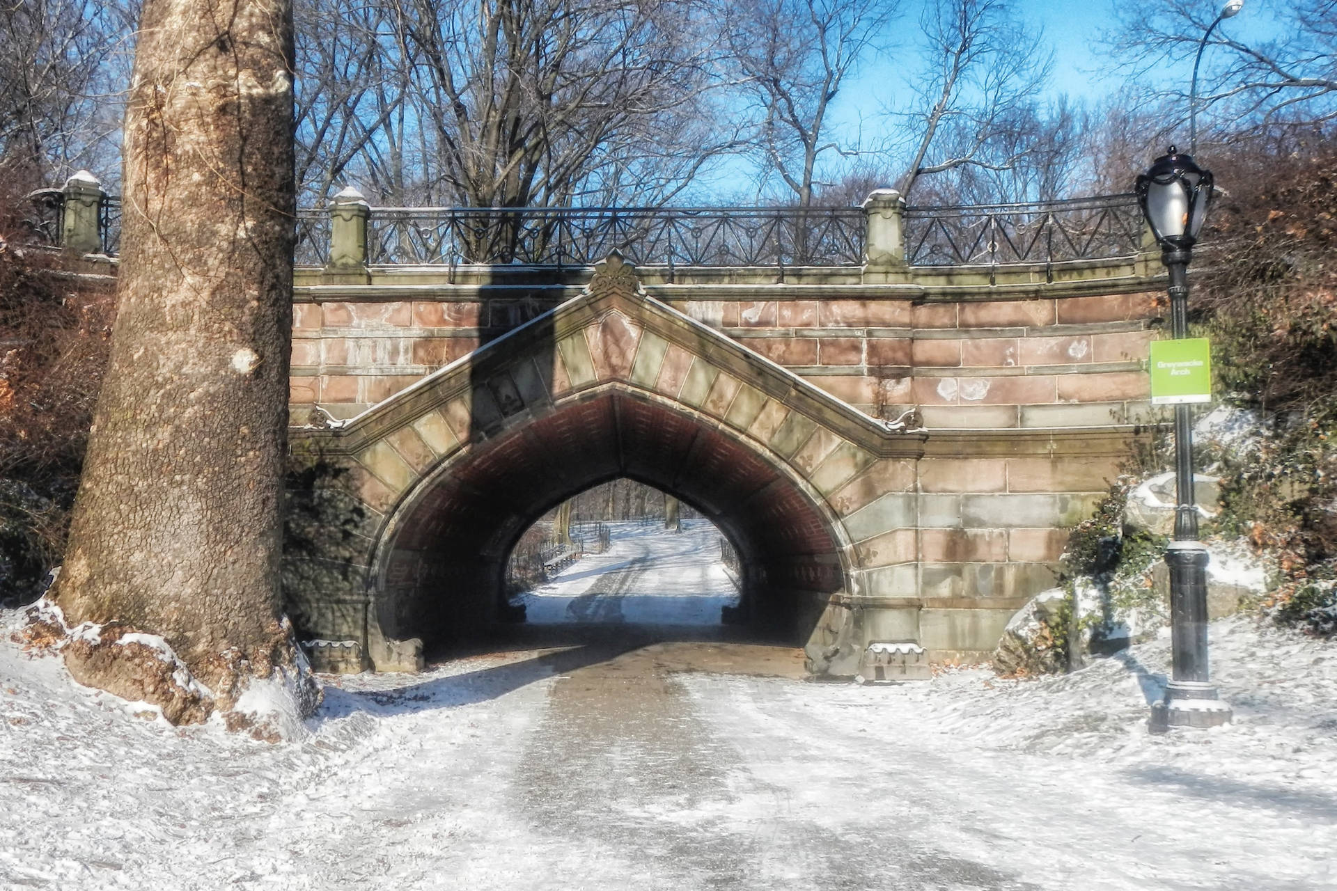 Snowy Central Park