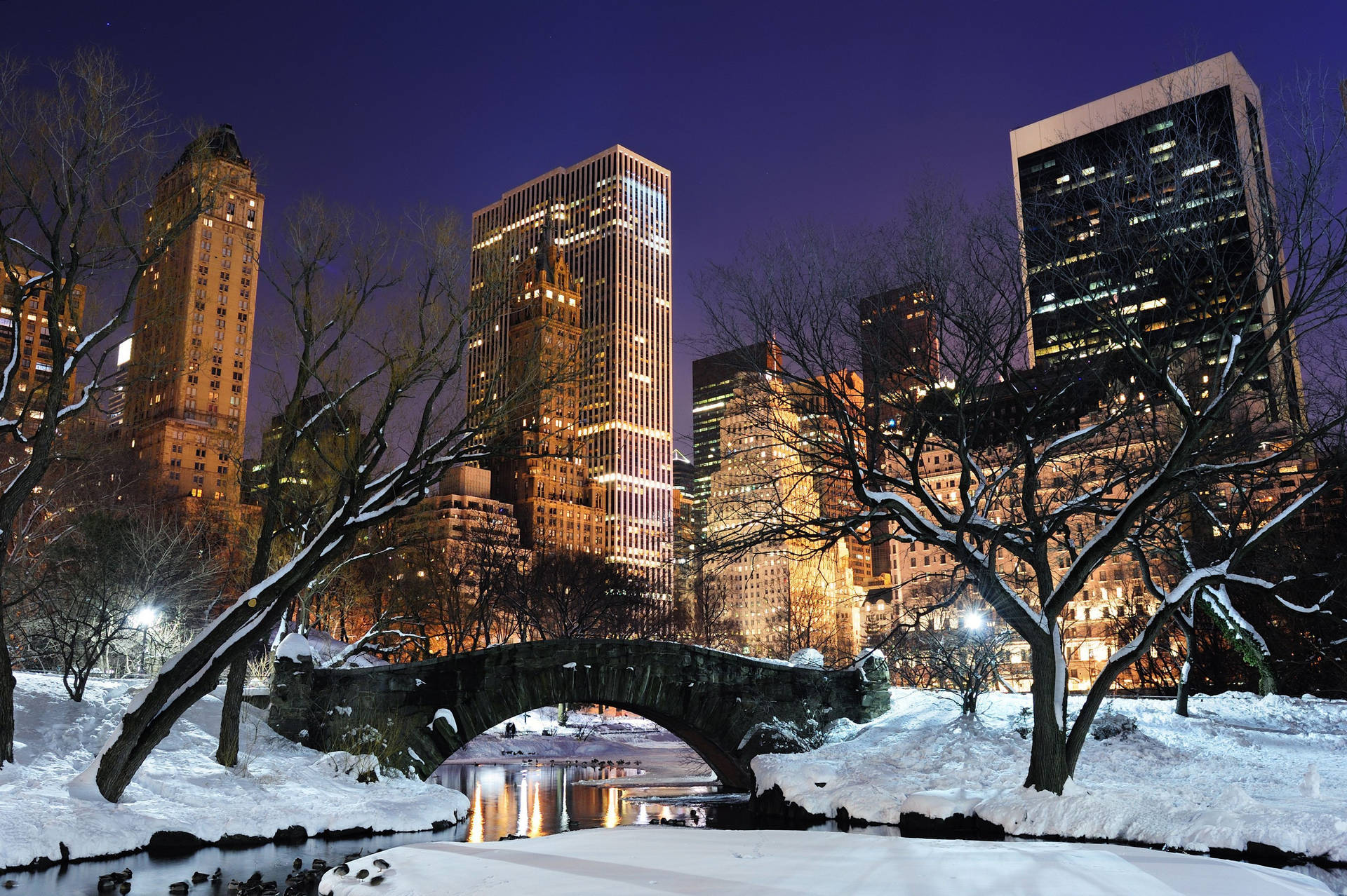 Snowy Central Park New York Night Iphone