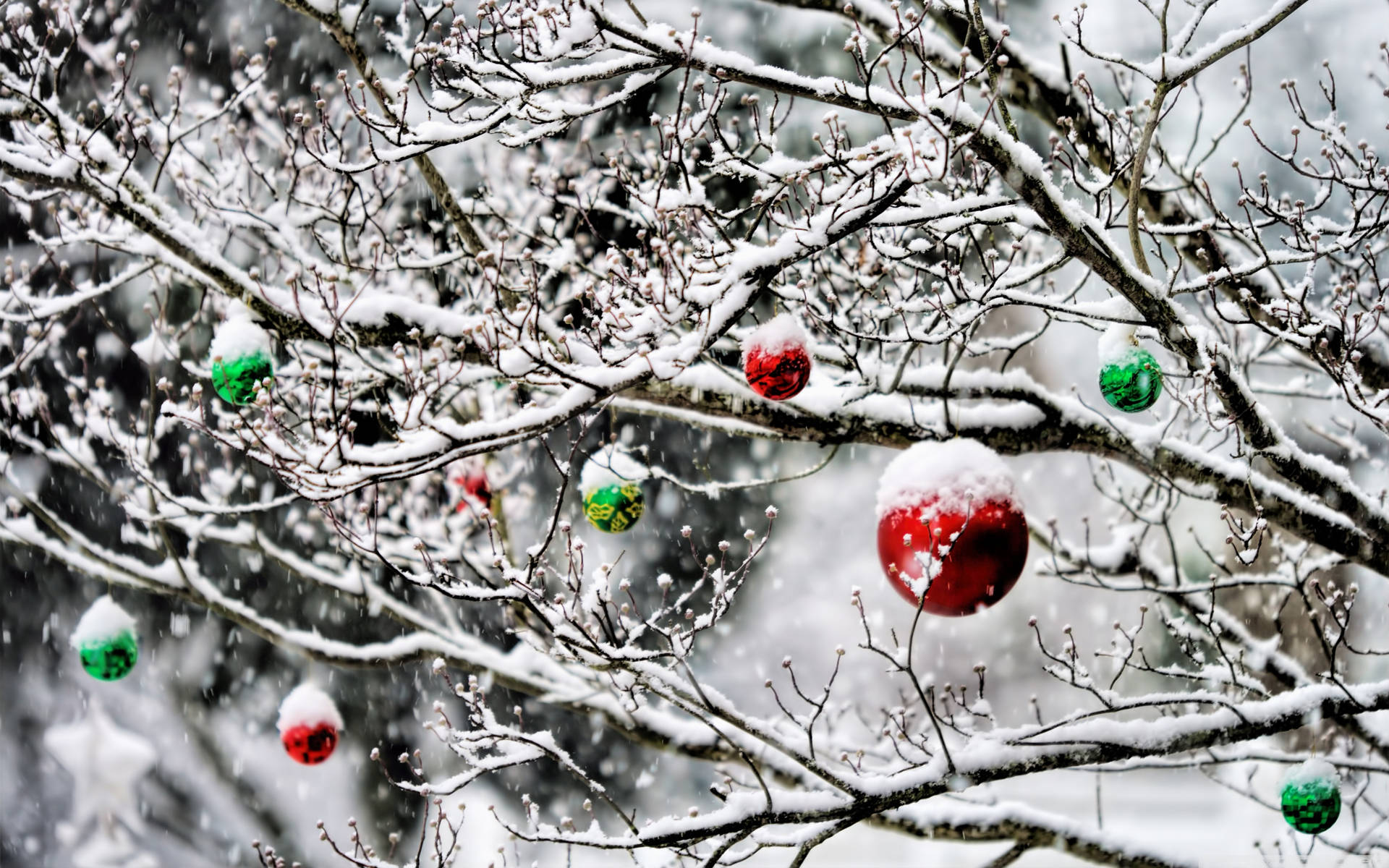 Snowy Christmas Branches Background