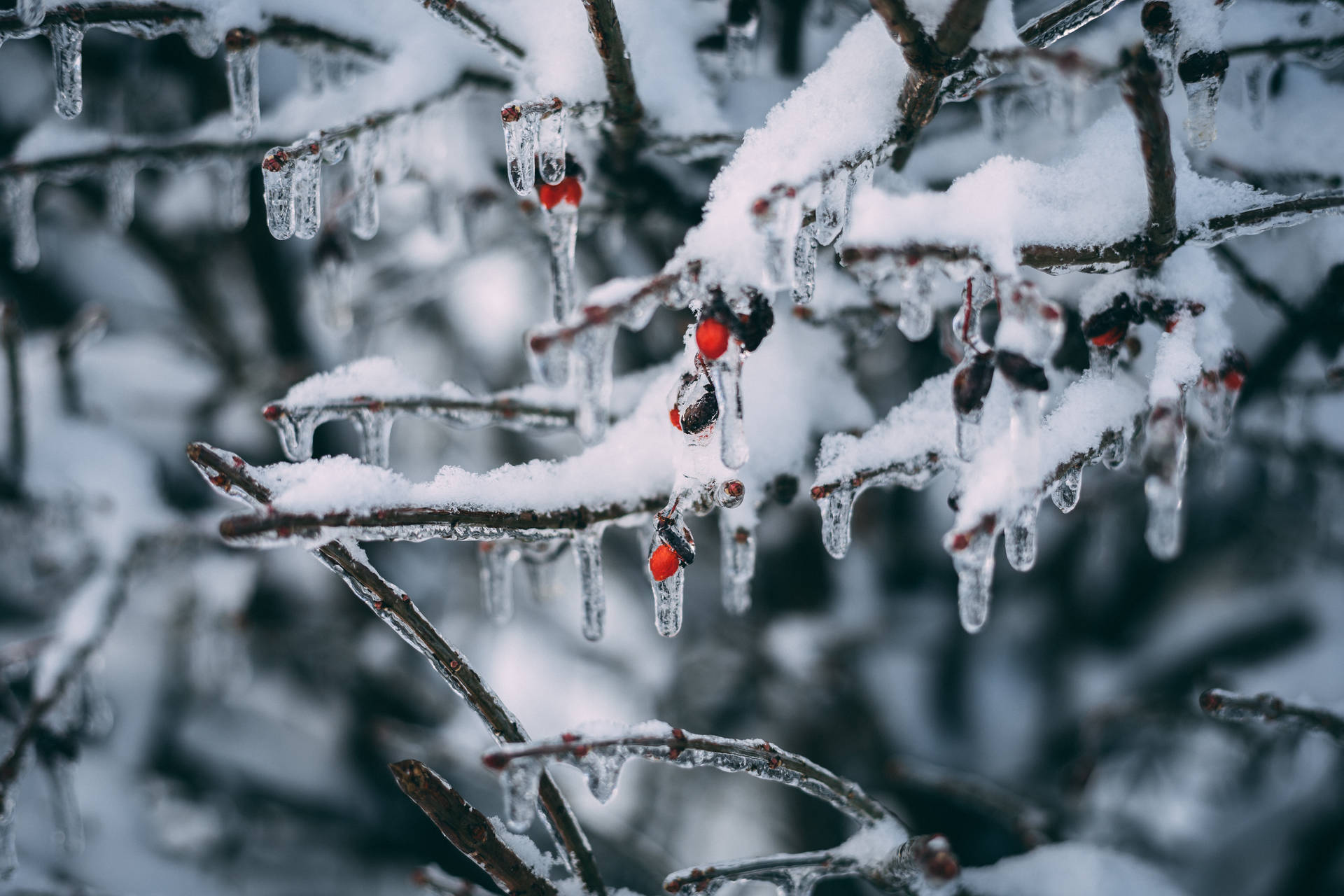 Snowy Christmas Ice Background