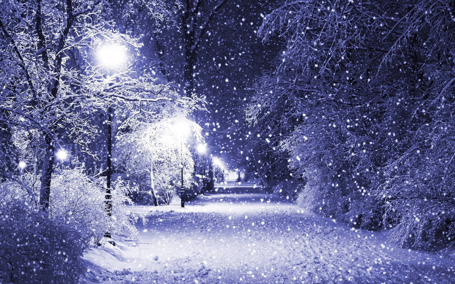 Snowy Christmas Path Background