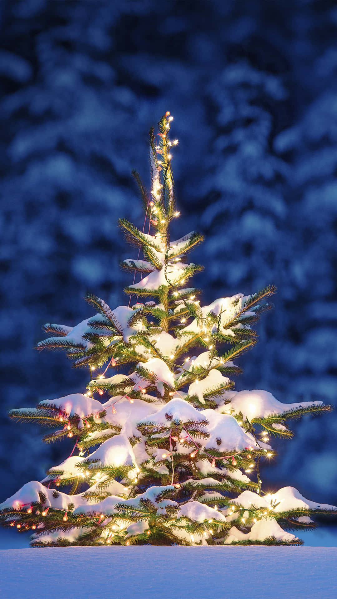 Snowy_ Christmas_ Tree_with_ Lights Background