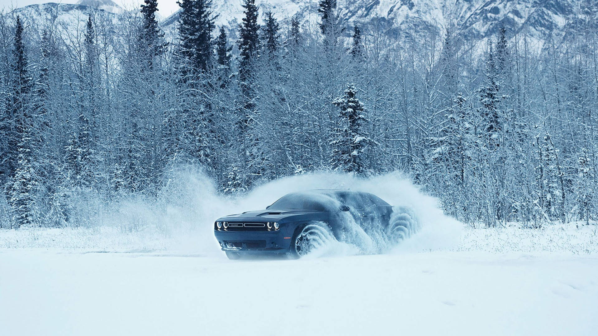 Snowy Covering A Blue Dodge Challenger Background